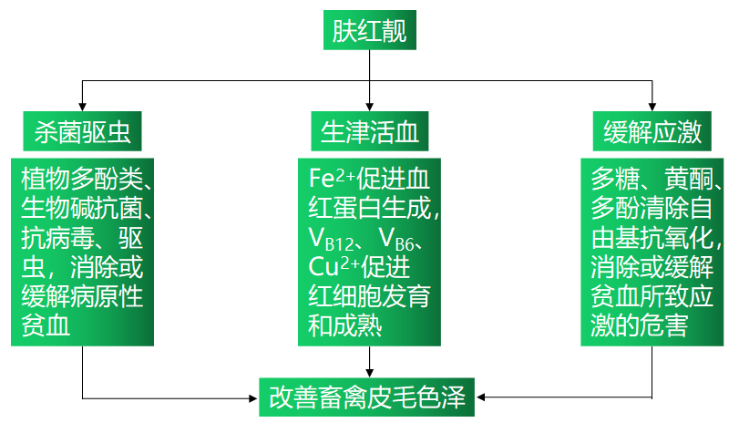 6115c745acebc