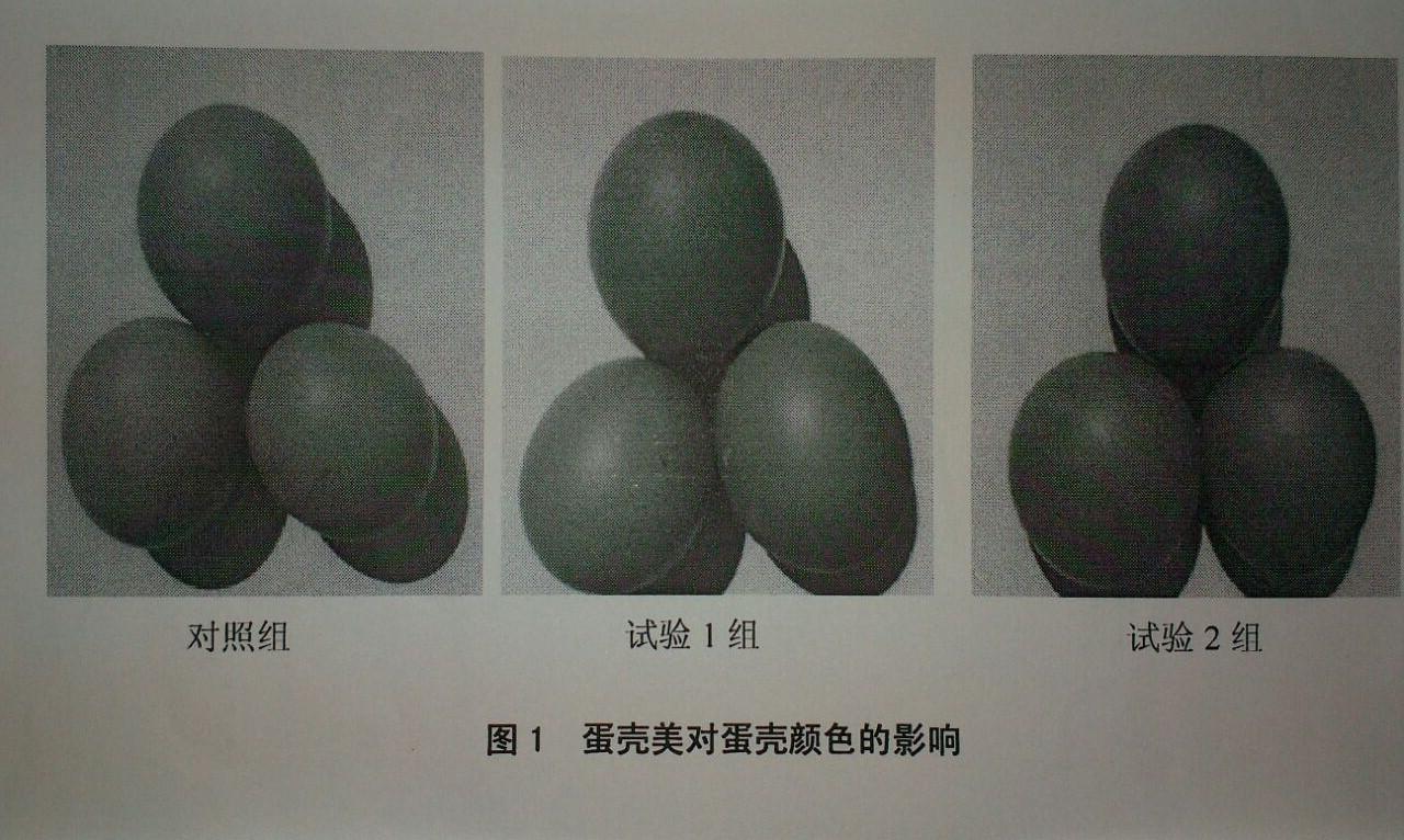 PP电子·仿照器(试玩游戏)官方网站