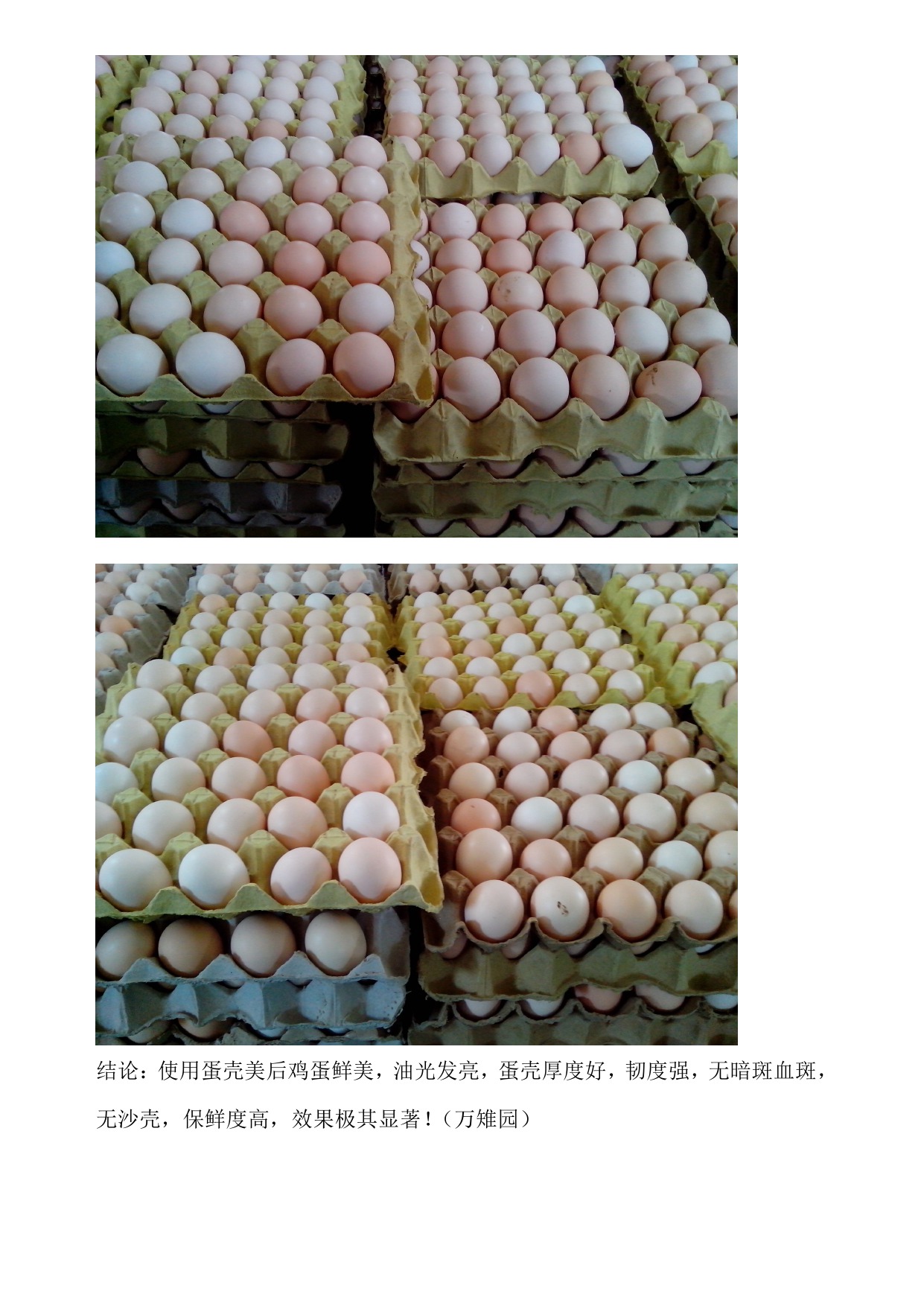 PP电子·仿照器(试玩游戏)官方网站